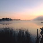 Gale Ramsden - @galeramsden - Instagram