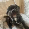 Lola* - @gailramsden - TikTok