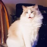 Gail Redmond - @gm07059 - Instagram
