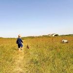 Gail Rennie - @renniegail - Instagram