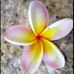 Levi- Gail Richmond - Facebook