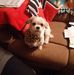 Gail Rider - Facebook