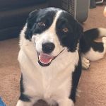 Gail Rider - @gailrider01 - Instagram