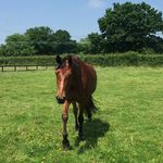 Gail Ritter - @gailritter166 - Instagram