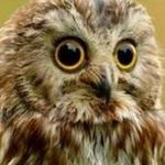 Gail Ritter - @gail.ritter.7 - Instagram