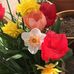 Gail Rock - Facebook