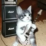 Gail Rock - @gmrock_rock - Instagram