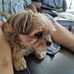 Gail Rockwell - Facebook