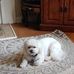 Gail Roper - Facebook