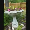 gailrountree - @gailrountree - TikTok