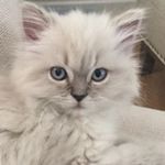 Gail Rourke - @gail.rourke - Instagram