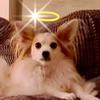 gailorourke868 - @gailorourke868 - TikTok