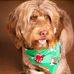 Gail Rucker - Facebook