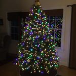 Gail Rudolph - @gailrudy27 - Instagram