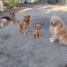 Gale Rudolph - Facebook