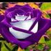 Gayle L Rudolph - Facebook
