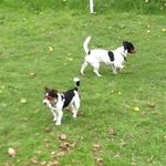 Gail Rutherford - @gail.rutherford1 - Instagram