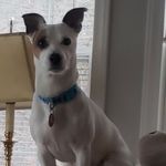 Gail Rutherford - @gailrutherford65 - Instagram