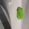 gailschillinger - @gailschillinger - TikTok