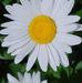 Gail Schofield - Facebook
