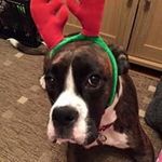 Gail Schofield - @gailschofield - Instagram