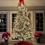 Gail Seaman - @sunshine42158 - Instagram