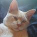 Gail Serna - Facebook