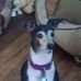 Gail Shanklin - Facebook