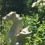 Gail Sharkey - @sharkeygail - Instagram