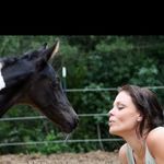 Gail Sharp - @mosaicsignature - Instagram