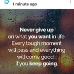 Gail Shepherd - @swisscheeze17 - Instagram
