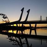 Gail Shepherd - @shepherd7394 - Instagram