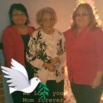 Gail Shepherd - @gailshepherd50 - Instagram