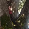 Abbigail - @abbigailshoemaker28 - TikTok
