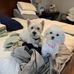 Gail Shoemaker - Facebook