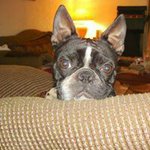 Gail Shoemaker Dufrene - @gailglenn - Instagram