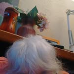 Gail Silverman - @silvermangail - Instagram