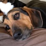 Gail Silverman - @gail.k.silverman - Instagram