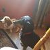 Gail Asbury Simon - Facebook