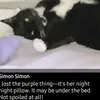 Gail Simon - @gail.simon1 - TikTok
