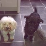 Gail Sinclair - @gsinclair68 - Instagram