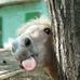 Gail Sissons - Facebook