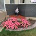 Gail Sissons - Facebook