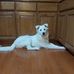 Gayle Sisson - Facebook