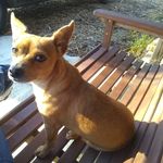 mary gail skipper - @marygailskipper - Instagram