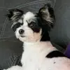 abbigailsnider - @abbigailsnider - TikTok