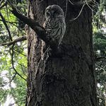 Gail Snider - @gisnider - Instagram