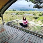 Gail Solomon - @gail.solomon.102 - Instagram