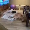 gailsolomon43 - @gailsolomon43 - TikTok