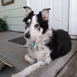 Gail Conner - @gail.soto.9 - Instagram